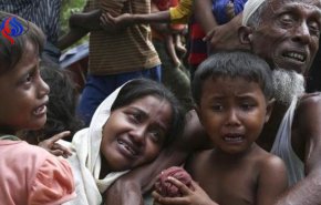 فرار مسلمانان فاجعه زده روهینگیا به بنگلادش ادامه دارد