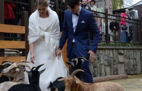 جشن ازدواج در باغ وحش