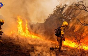 الحرائق تقتل نحو 30 شخصا في البرتغال وإسبانيا