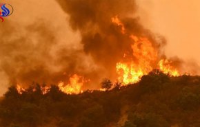 ارتفاع عدد قتلى حرائق الغابات في كاليفورنيا إلى 42 قتيلا