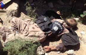 مسئول واحد عناصر انتحاری داعش در الانبار کشته شد