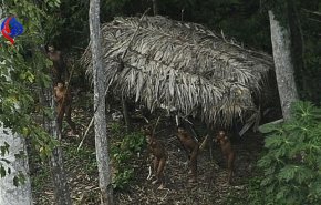 قبیله‌ای بدوی در اعماق جنگل‌های آمازون