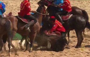 شاهد بالفيديو، حادث مأساوي قاتل بين خيول وسيارة للدرك الجزائري