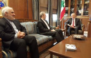 علی اکبر ولایتی با رئیس پارلمان لبنان دیدار کرد