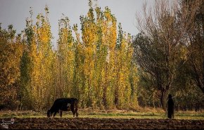 پاییز در شهرستان الشتر - لرستان