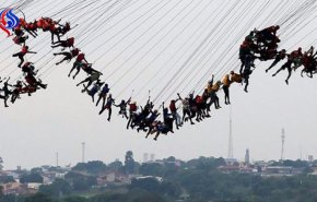 لماذا قفز 245 شخصا من فوق جسر بالبرازيل؟