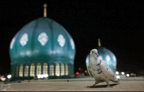 تصاویر/ آستان مقدس مسجد جمکران