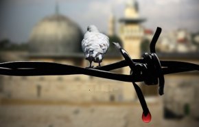 مبارزه با تروریسم بدون پایان دادن به اشغال فلسطین نتیجه‌ای ندارد