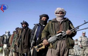 طالبان تسعى للحفاظ على إنتاج المخدرات