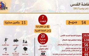  23 عملية فدائية فلسطينية وارتقاء 7 شهداء خلال نوفمبر