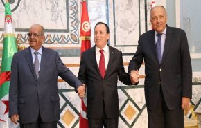 إجتماع ثلاثى مرتقب بين تونس مصر و الجزائر بشأن ليبيا