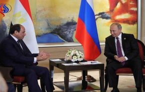 برلماني مصري: نتوقع مفاجأة خلال زيارة بوتين