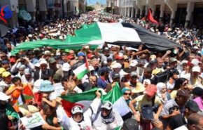 المغرب على موعد مع أكبر مسيرة تضامنية مع فلسطين الأحد