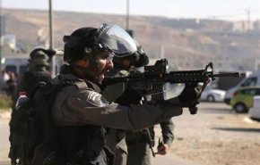 مجروحیت 81 فلسطینی در درگیری با نظامیان صهیونیست