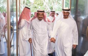 مجتهد: مهمات مثيرة للجنة السعودية الإماراتية المشتركة