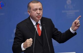 أردوغان ينتقد مستوى مشاركة بعض الدول العربية في قمة اسطنبول