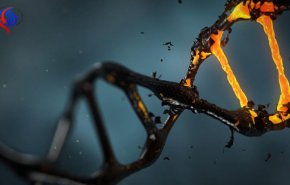 تخریب ژن‌های DNA با مصرف الکل