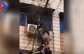 شاهد بالفيديو: «مشلول» يتسلق مبنى محترقًا لإنقاذ امرأة حامل!!