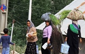 جمعیت زنان چاق در مازندران بیش از 2 برابر مردان است