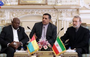 لاريجاني: سياستنا الخارجية تهتم بالعلاقات مع الدول الافريقية