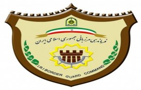 بازداشت 118 متجاوز مرزی در تایباد