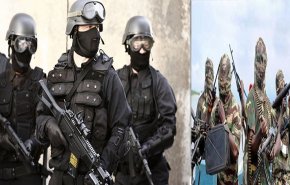 الشرطة الإيطالية تكشف مافيا بيع الترامادول لداعش وبوكو حرام