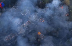 ما هي عقوبة من يضرم النار في الغابات السورية؟!