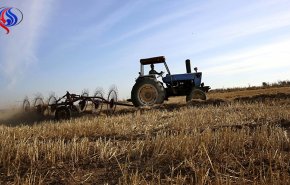 العراق يتوقع ارتفاع واردات الحبوب في 2018 بسبب الجفاف