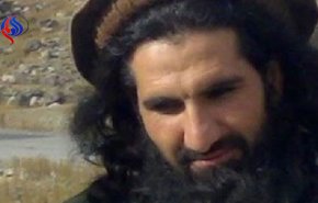 کشته شدن معاون طالبان تایید شد