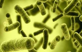 نقل البكتيريا النافعة من مريض إلى آخر يجلب الأمراض!!