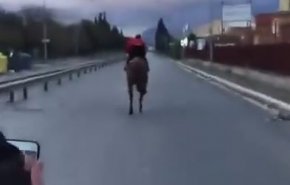 فیلم شوکه کننده از تصادف یک اسب!