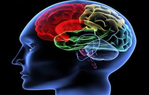 کلسیم اضافی در مغز منجر به پارکینسون می‌شود