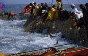 المغرب على استعداد للتفاوض لتجديد اتفاق الصيد مع الاتحاد الأوروبي