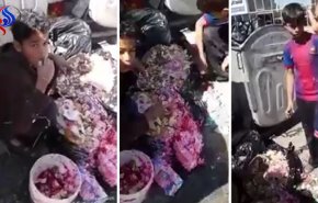 فيديو..أطفال أردنيون يأكلون بقايا الطعام من القمامة بالعاصمة عمَان

