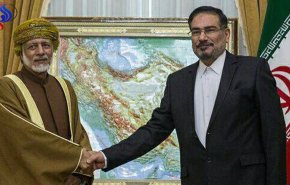 ایران به نقض عهدهای مکرر آمریکا در برجام پاسخ شایسته می دهد