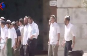 بالفيديو...المستوطنون يقتحمون باحات المسجد الاقصى بحماية شرطة الاحتلال