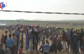 بالفيديو...عشرات آلاف الفلسطينيين يشاركون بمسيرات العودة الكبرى 