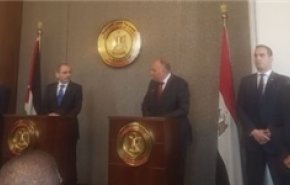 وزیر خارجه مصر: جامعه جهانی باید به مسئولیت خود در قبال فلسطینیان عمل کند
