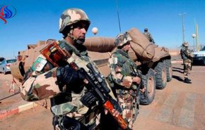 الجزائر.. 4 إرهابيين سلموا أنفسهم في غضون أسبوع