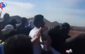 بالفيديو.. حصان هائج يهاجم الجمهور في عرض “التبوريدة” بالمغرب