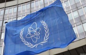 آژانس انرژی هسته ای: عربستان آماده ساخت اولین راکتور هسته ای است
