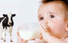ما هو الحل لإصابة الرضيع بحساسية حليب الأبقار؟