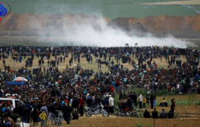 50 إصابة برصاص الاحتلال والغاز في غزة