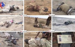 شاهد.. قتلی سودانيين في اليمن واستسلام مغرر بهم يمنيين 