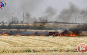بالصور والفيديو: الورق الفلسطيني يحرق مواقع الاحتلال