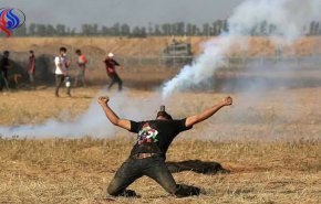 شاهد.. فلسطيني يسخر من قنابل الغاز الاسرائيلية