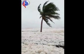 شاهد/انتشار زبد البحر بشاطئ في عُمان بعد إعصار ميكونو