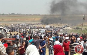 استشهاد 4 فلسطينيين واصابة 500 بمسيرات 