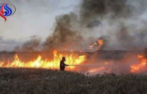  الحرائق التي تسببت بها الطائرات الفلسطينية الحارقة خرجت عن السيطرة 