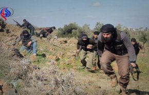 تروریست ها زمین های کشاورزی را در سوریه آتش زدند